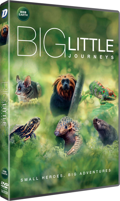 Big Little Journeys
