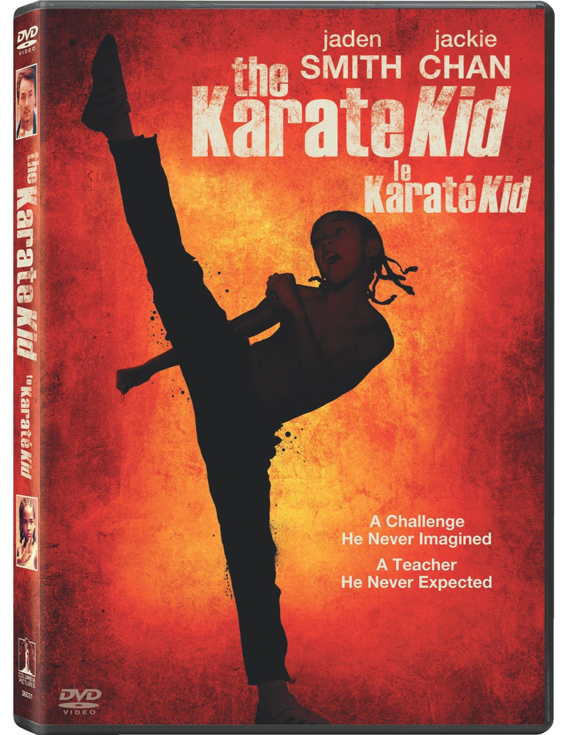 The Karate Kid  (2010