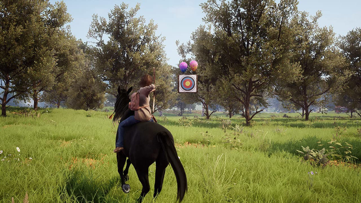 Ostwind: Ein unerwartetes Abenteuer (Code in a Box) (Switch