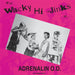 The Wacky Hi-Jinks of... (Millenium Edition