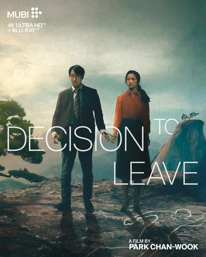 Decision to Leave