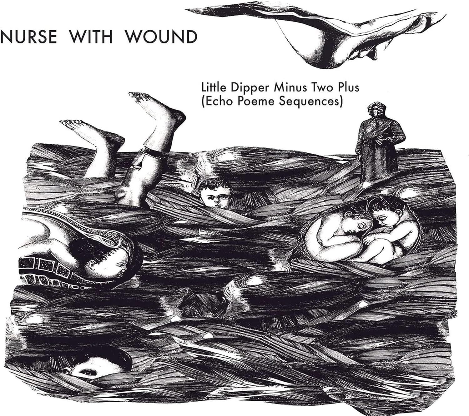 The Little Dipper Minus Two Plus (Echo Poeme Sequences)
