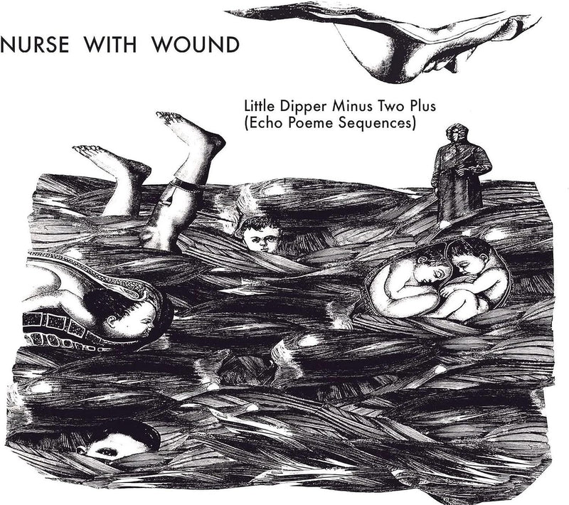 The Little Dipper Minus Two Plus (Echo Poeme Sequences)
