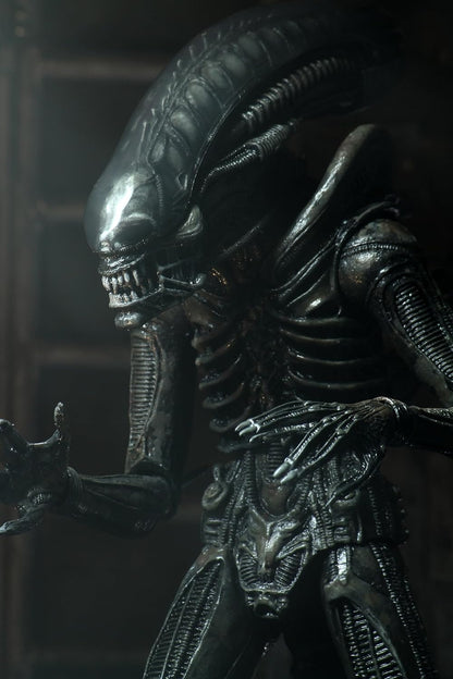ALIENS 40TH ANNIVERSARY BIG CHAP ULTIMATE 7IN ACTION FIGURE