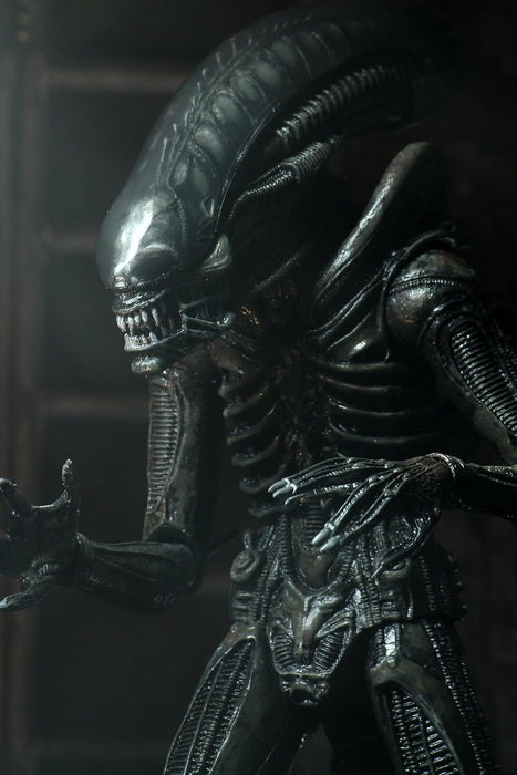 ALIENS 40TH ANNIVERSARY BIG CHAP ULTIMATE 7IN ACTION FIGURE