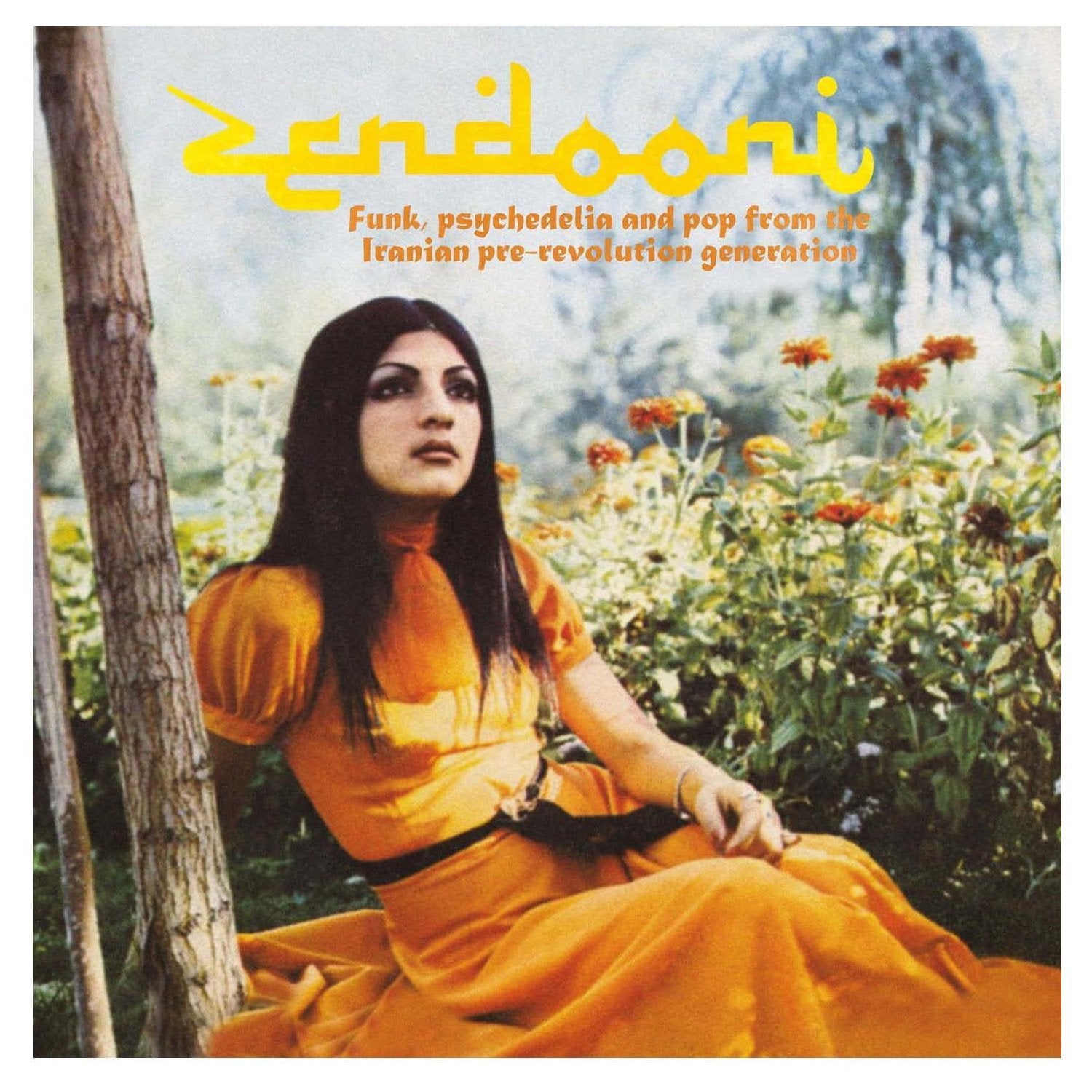 Zendooni