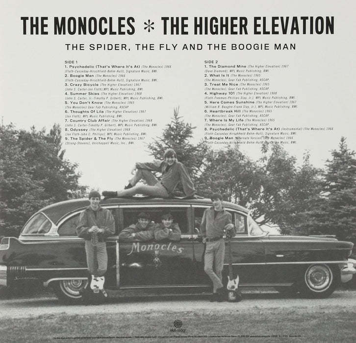 The Spider, the Fly and the Boogie