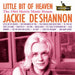 Little Bit of Heaven: The 1964 Metric Music Demos