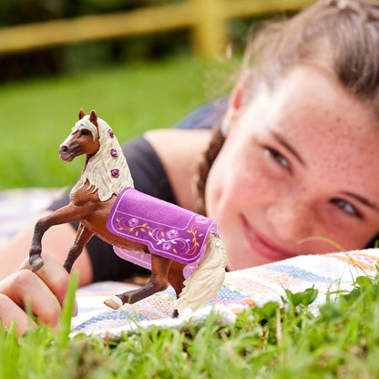 Paso Fino Hengst Pferdeshow