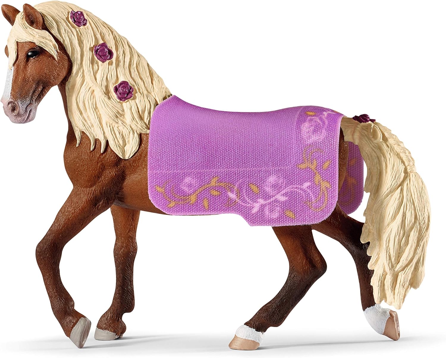 Paso Fino Hengst Pferdeshow