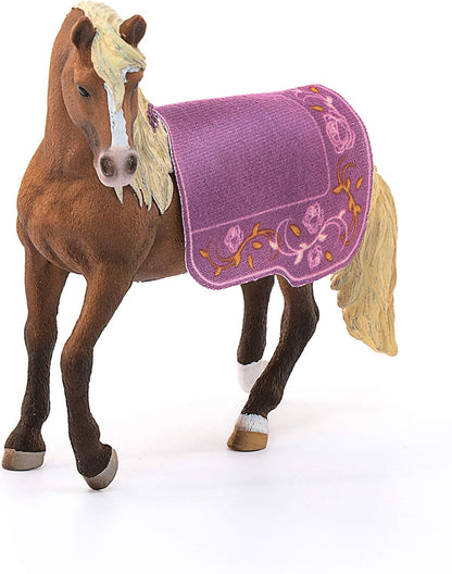 Paso Fino Hengst Pferdeshow