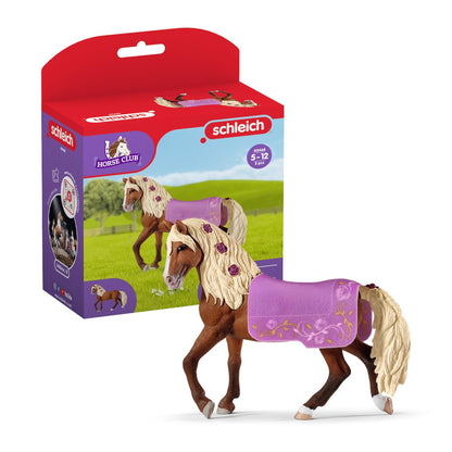 Paso Fino Hengst Pferdeshow