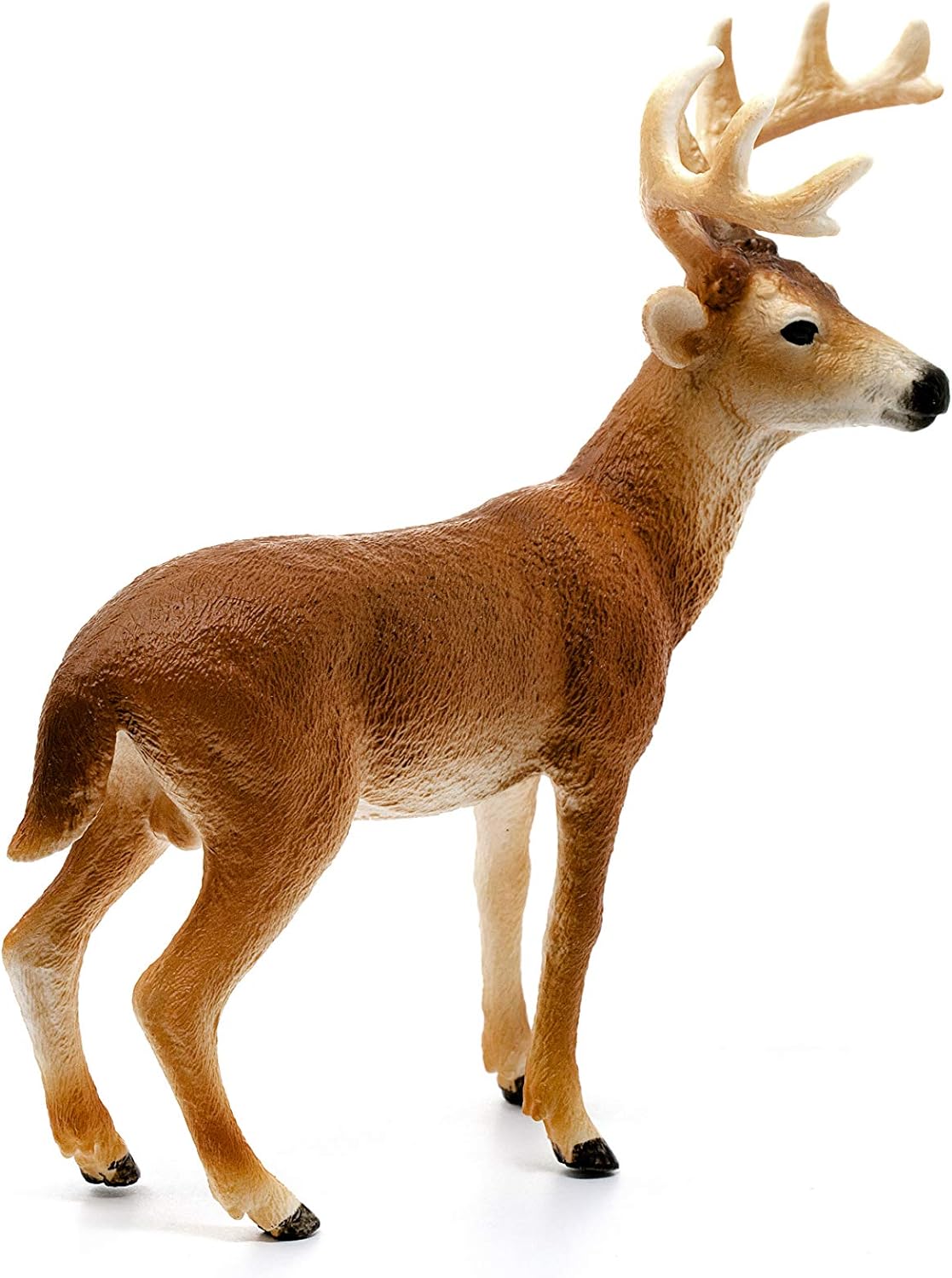 schleich 14818 White-tailed buck, from 3 years WILD LIFE - figurines, 11 x 5 x 10 cm Modern