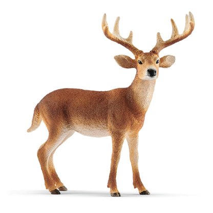 schleich 14818 White-tailed buck, from 3 years WILD LIFE - figurines, 11 x 5 x 10 cm Modern