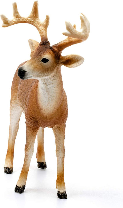 schleich 14818 White-tailed buck, from 3 years WILD LIFE - figurines, 11 x 5 x 10 cm Modern