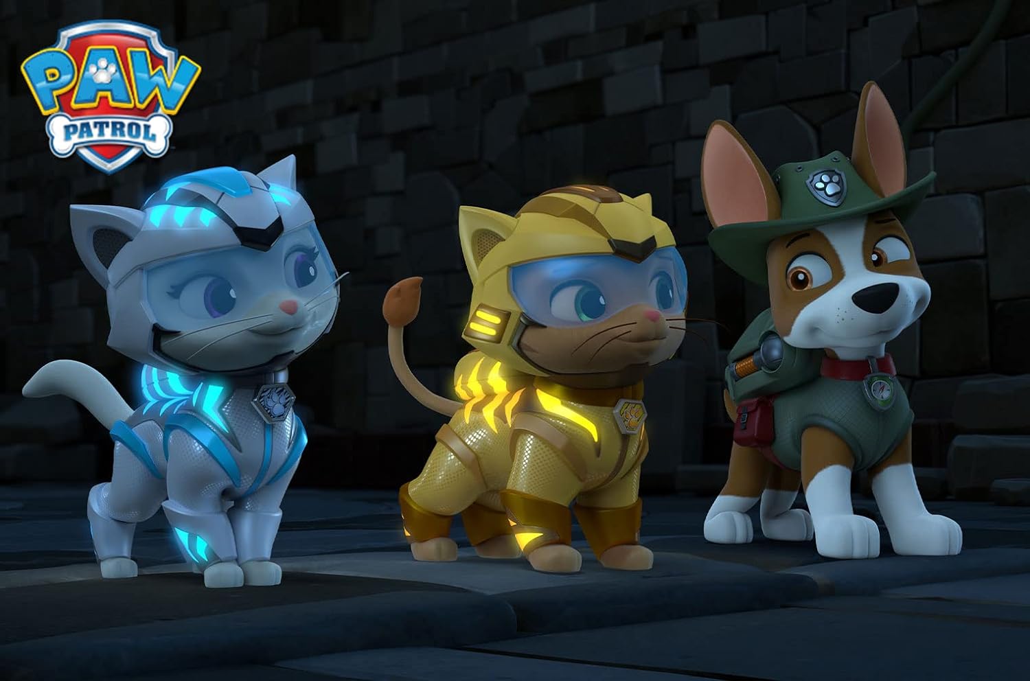 Paw Patrol: Cat Pack Rescues/DVD