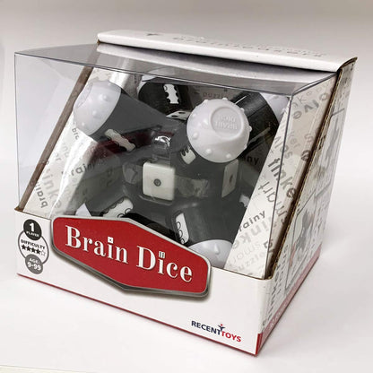 Recent Toys RT31 Brain Dice Puzzle, Blue
