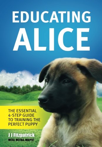Educating Alice