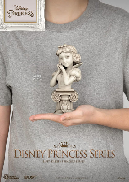 Disney Princess Series: Aurora BUST-012 Statue