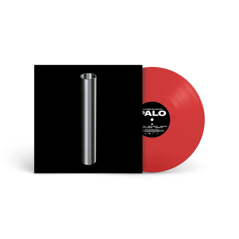 Palo - Transparent