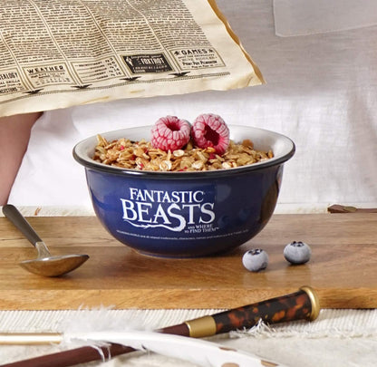 Fantastic Beats 13284 Ceramic Bowl in Enamel Look