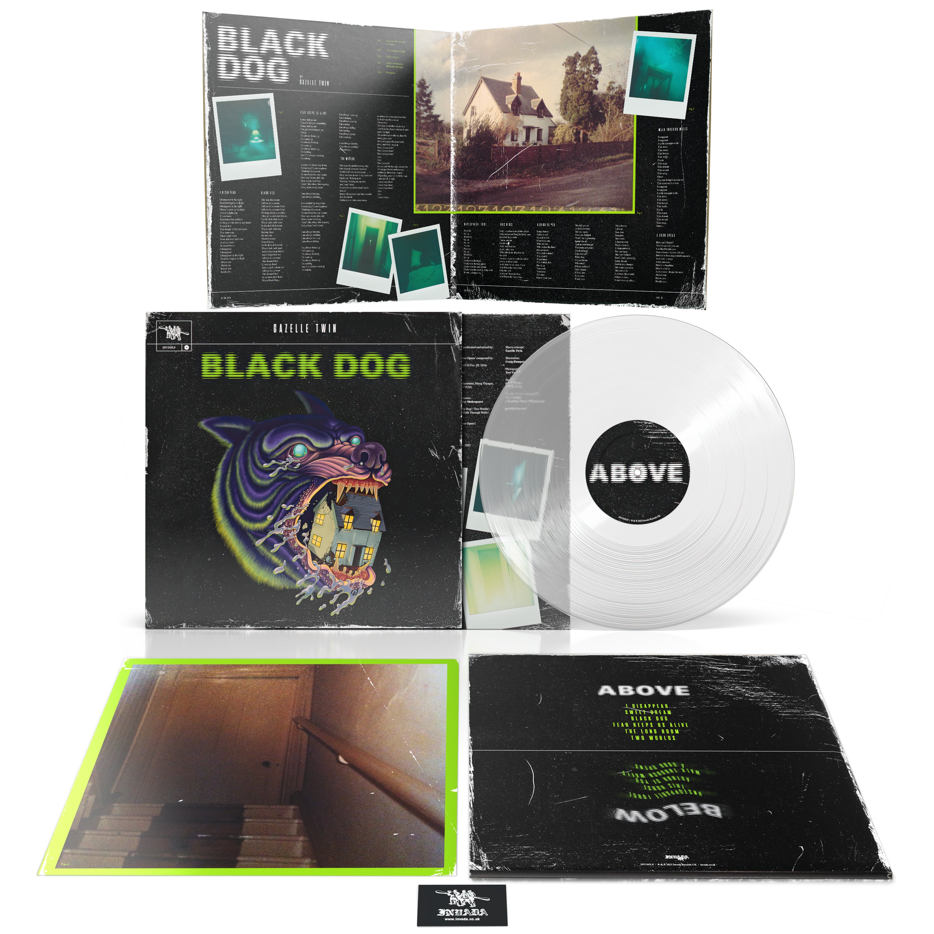 Black Dog