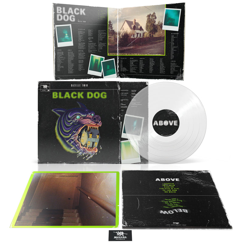 Black Dog
