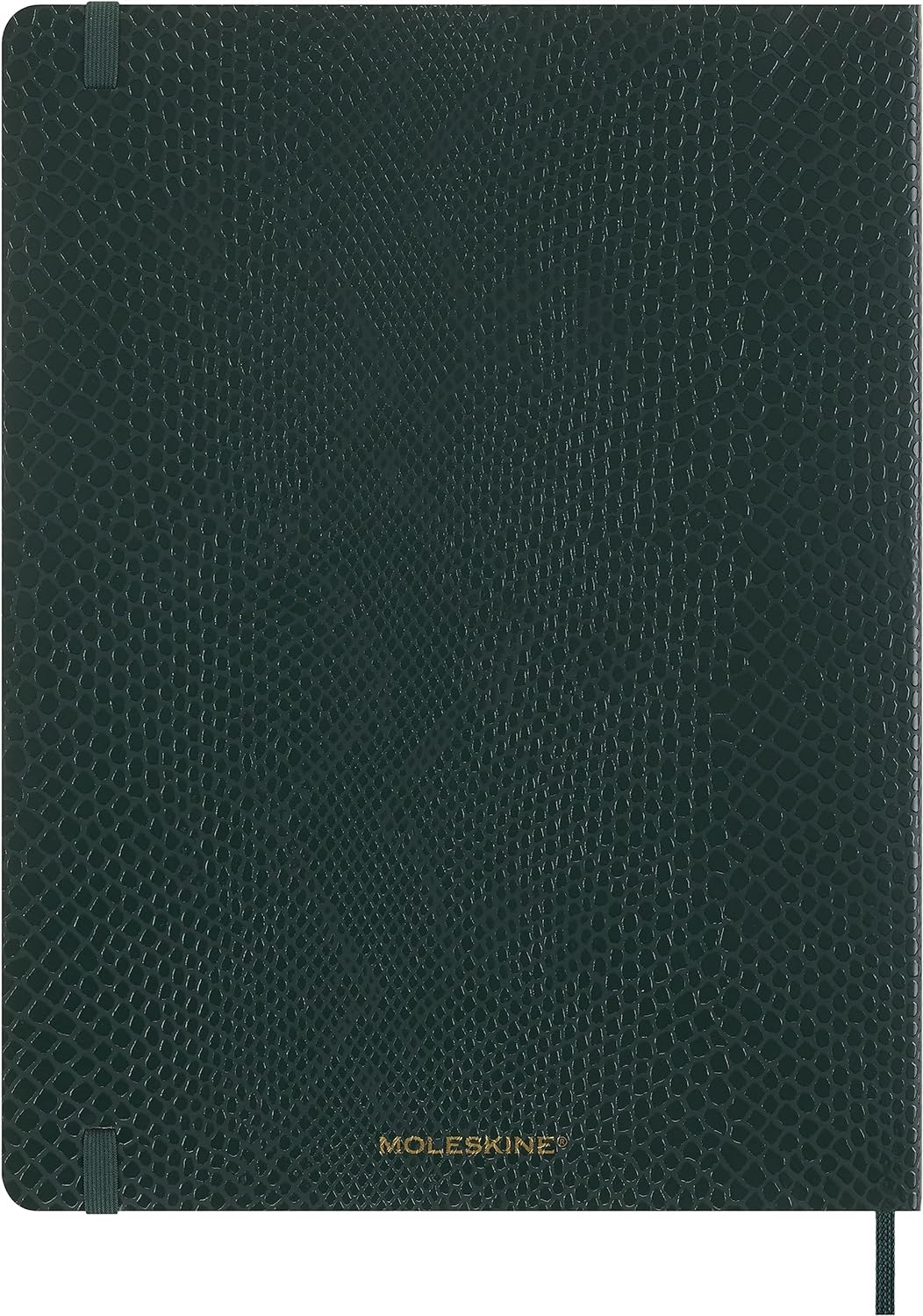Moleskine Precious & Ethical Notebook, with Gift Box, Vegan Soft Cover Python-Effect, Elastic Closure, XL Format 19x25 cm, Colour
