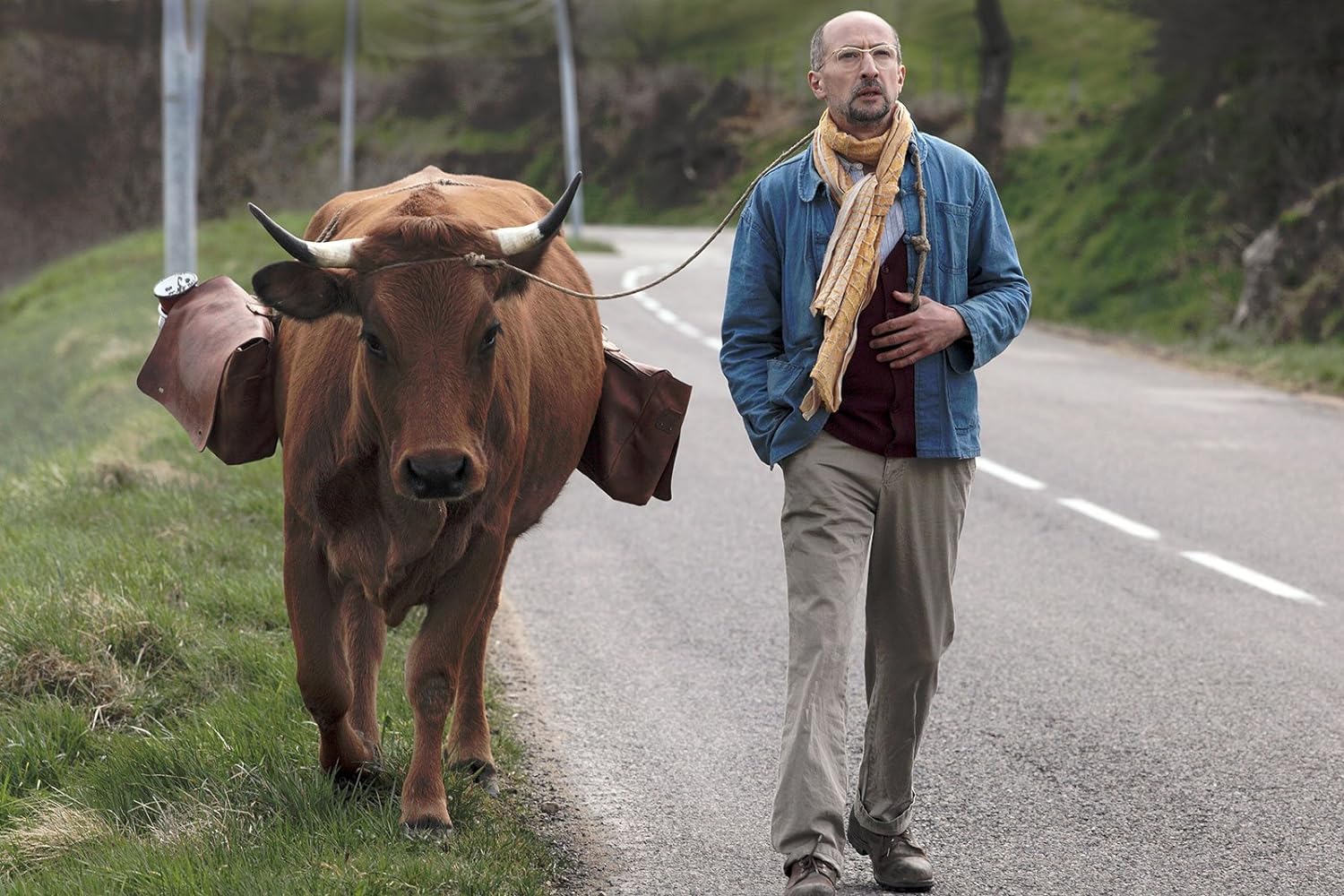 La Vache