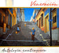 Veneracion-Antologia..