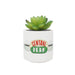 FRIENDS Plant Pot with Faux Plant 11.7cm - Central Perk - Plant Pot Indoor - Small Plant Pot Gift