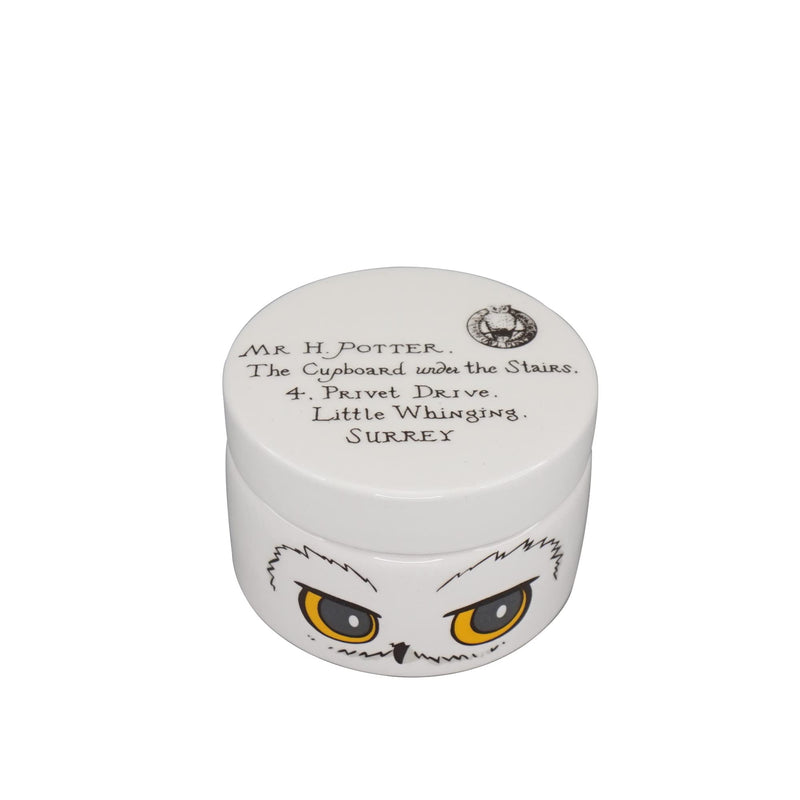 Harry Potter Ceramic Trinket Box Round - Hedwig - Trinket Box With Lid - 6cm Décor - Hedwig Owl