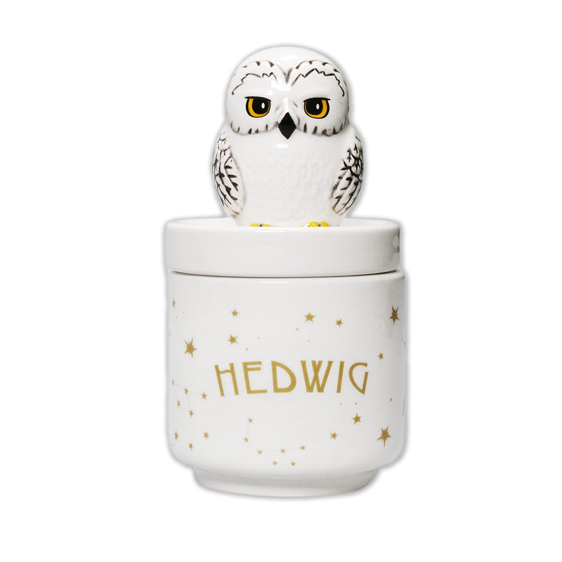 Harry Potter Collectors Box - Hedwig Owl - Kawaii - Storage Jar - Trinket Box with Lid Décor