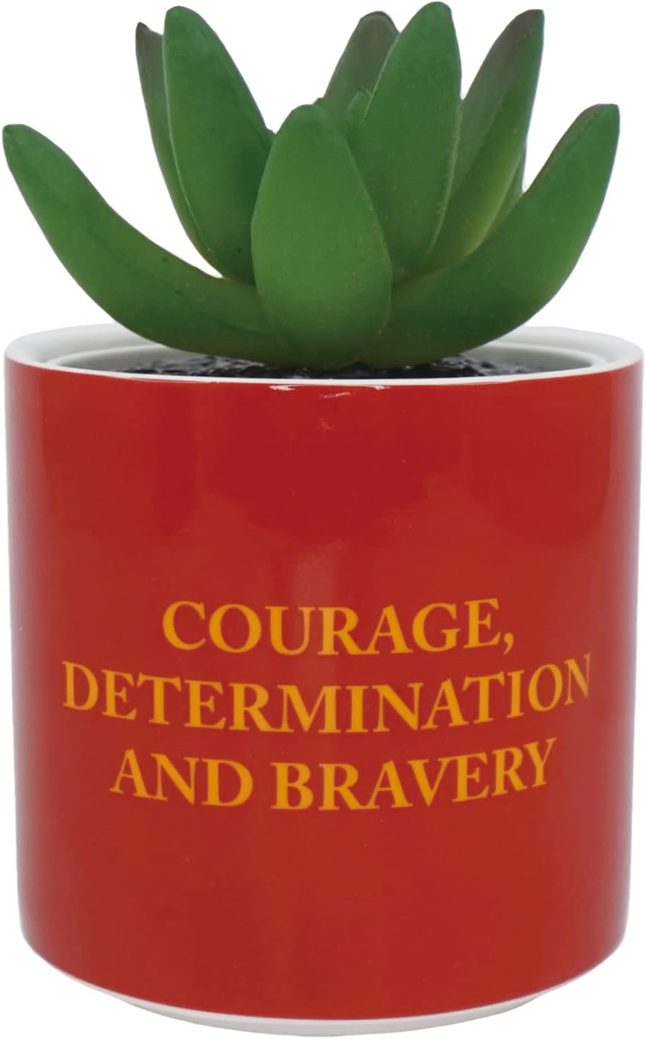 HARRY POTTER - Gryffindor - Faux Plant Pot 6.5cm