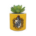 Harry Potter Half Moon Bay - Vaso per piante da interno, in ceramica, per interni, vasi per piante da interni, vasi decorativi per interni, idea regalo per interni, vaso per piante con Tassorosso