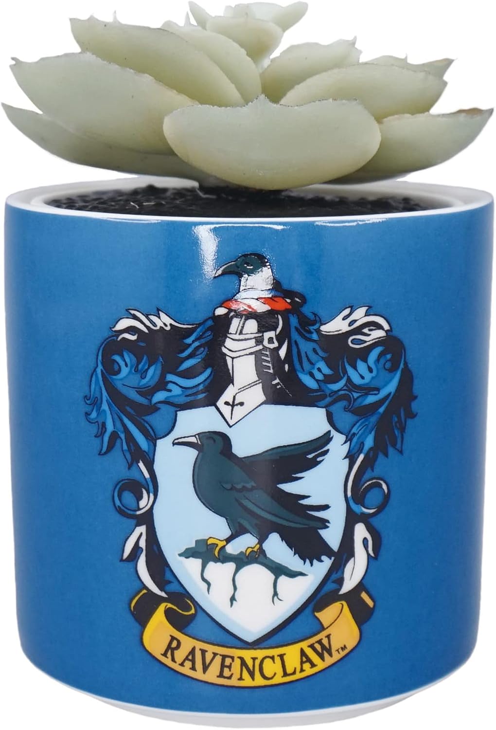 Harry Potter Half Moon Bay Indoor Plant Pot | Ceramic Plant Pot & Indoor Plant Pots | Indoor Pots for Plants | Decorative Plant Pots Indoor | Indoor Planter & Ravenclaw Gifts | Ravenclaw Plant Pot