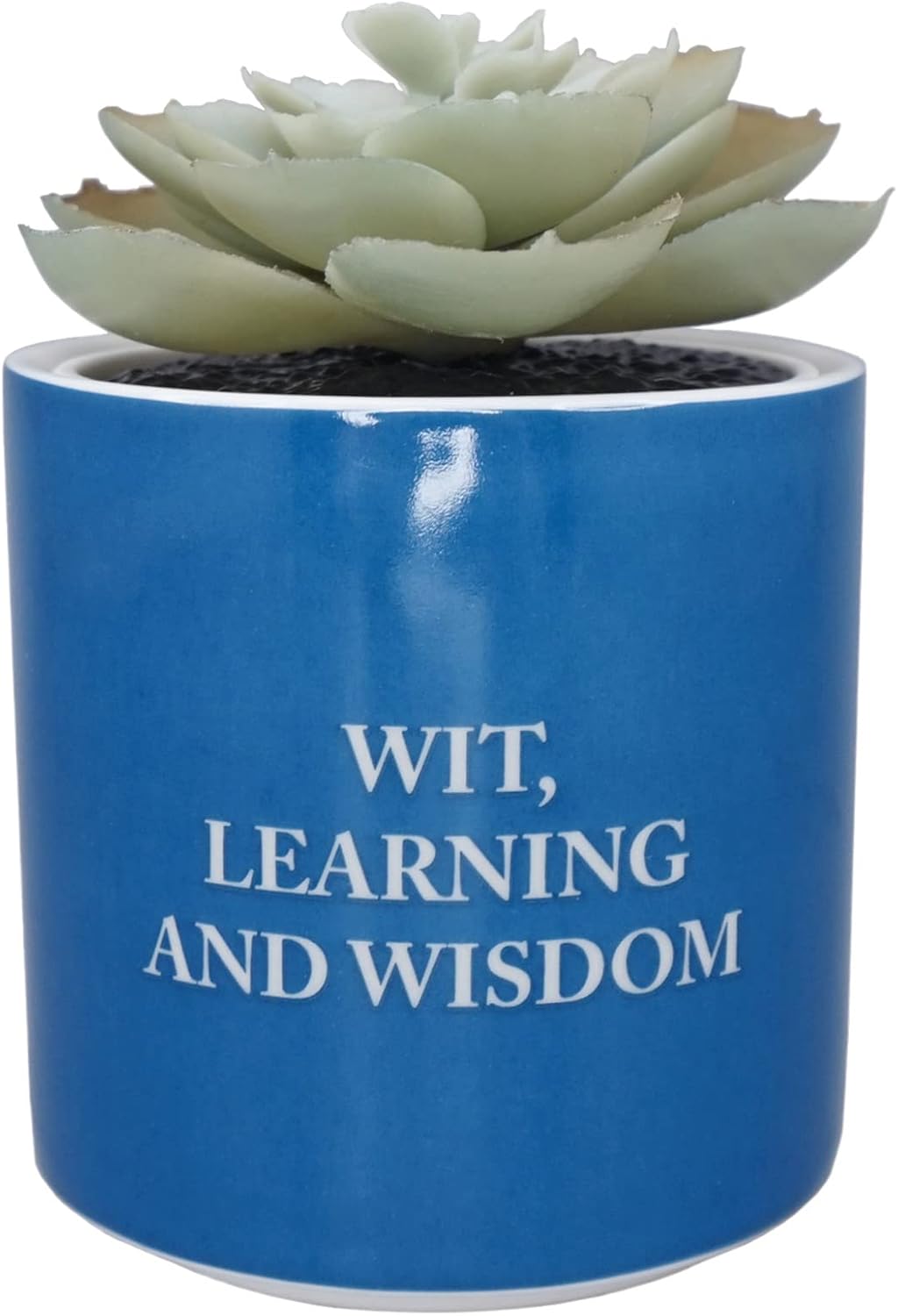 Harry Potter Half Moon Bay Indoor Plant Pot | Ceramic Plant Pot & Indoor Plant Pots | Indoor Pots for Plants | Decorative Plant Pots Indoor | Indoor Planter & Ravenclaw Gifts | Ravenclaw Plant Pot