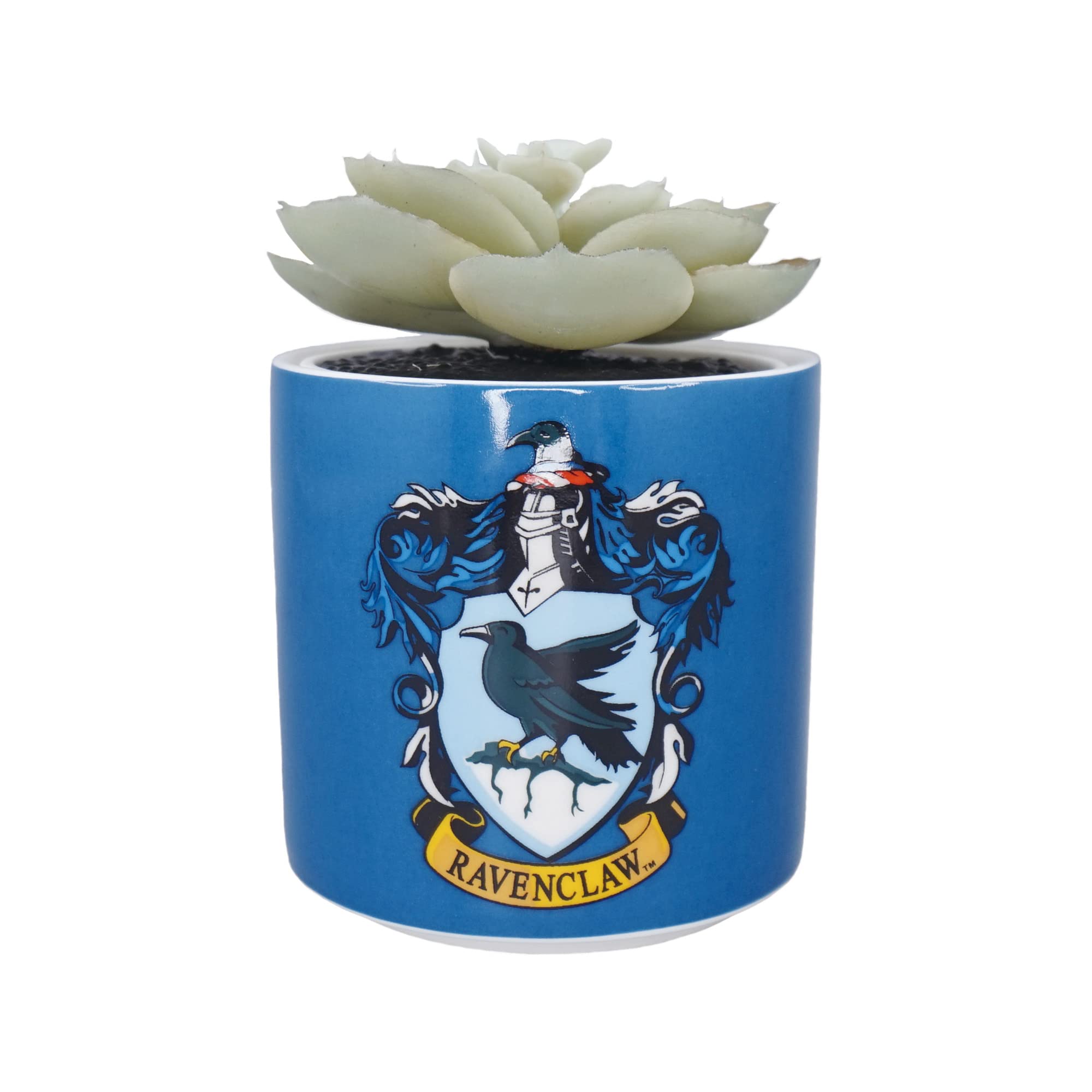 Harry Potter Half Moon Bay Indoor Plant Pot | Ceramic Plant Pot & Indoor Plant Pots | Indoor Pots for Plants | Decorative Plant Pots Indoor | Indoor Planter & Ravenclaw Gifts | Ravenclaw Plant Pot