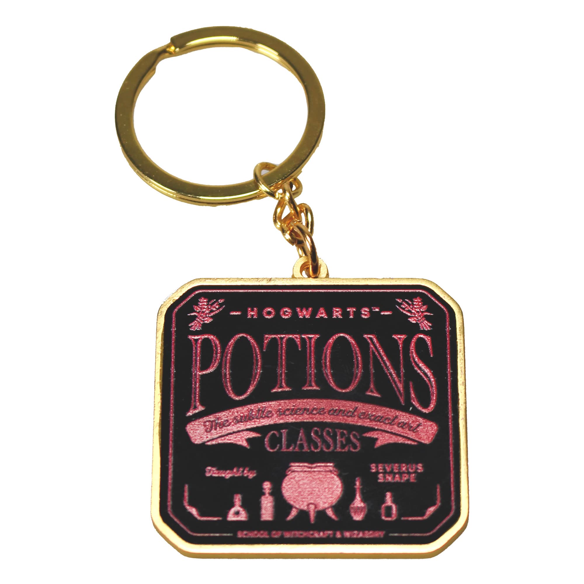 Harry Potter Keyring With Header Card (Potions