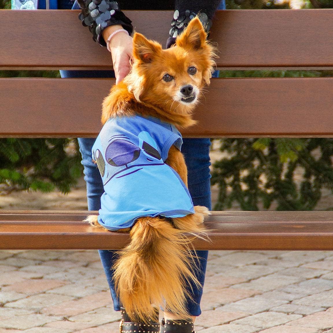 LILO & STITCH - Dog T-Shirt - XS