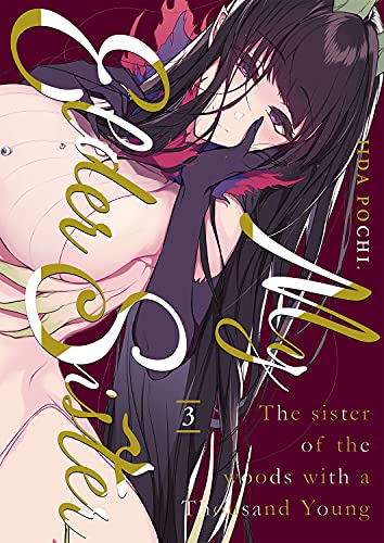 My Elder Sister - Tome 3