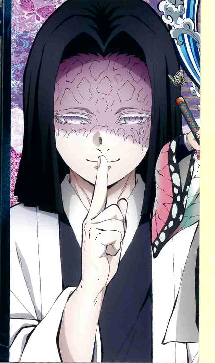 Le guide officiel des personnages de l'anime