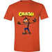 CRASH BANDICOOT - T-Shirt Crazy Crash Face (L)