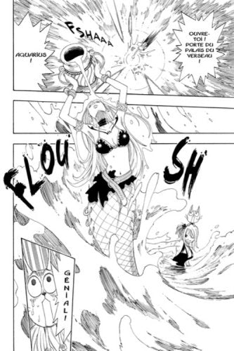 Fairy Tail T01