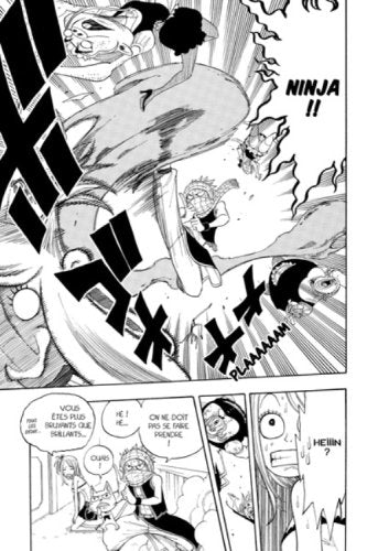 Fairy Tail T02
