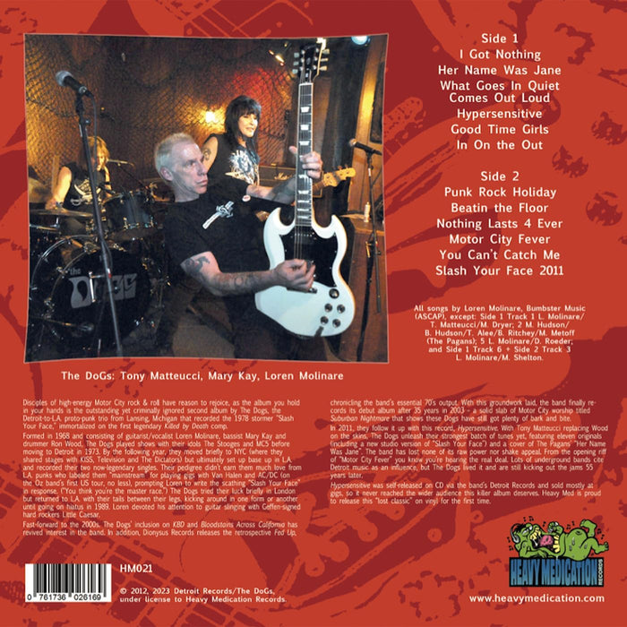 Dogs - Hypersensitive