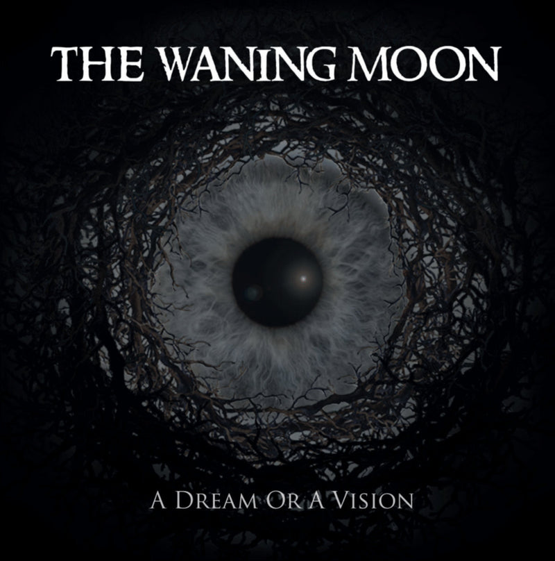 A Dream Or a Vision