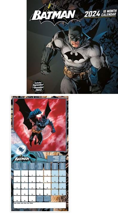 BATMAN 2024 30X30 SQUARE CALENDAR