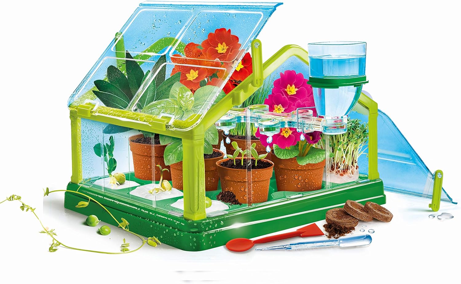 CLEMENTONI 59081 Galileo Growhouse Experiment Set, Multicoloured, 7 x 45,1 x 31,1 cm Experimenting in the greenhouse