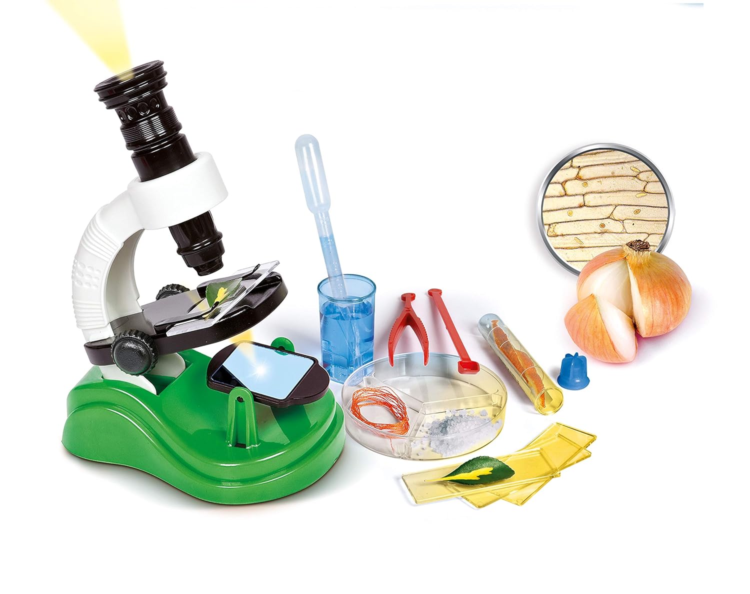 Clementoni Galileo Lab – Mein erstes Mikroskop, Spielzeug für Kinder ab 8 Jahren, spannendes Biologie-Labor für kleine Forscher, Mikrobiologie für Schulkinder von Clementoni 59120